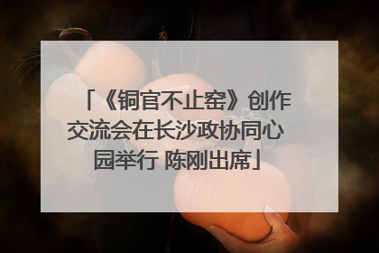 《铜官不止窑》创作交流会在长沙政协同心园举行 陈刚出席