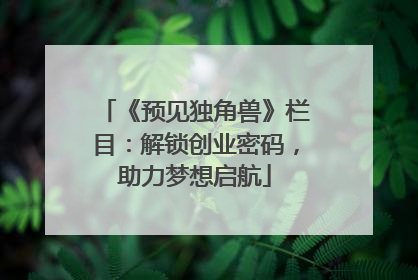 《预见独角兽》栏目：解锁创业密码，助力梦想启航