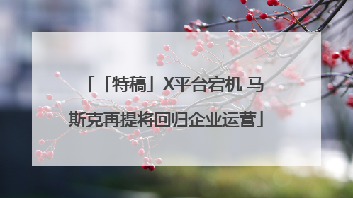 「特稿」X平台宕机 马斯克再提将回归企业运营