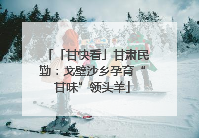 「甘快看」甘肃民勤：戈壁沙乡孕育“甘味”领头羊