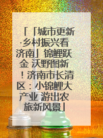 「城市更新·乡村振兴看济南」锦鲤跃金 沃野图新！济南市长清区：小锦鲤大产业 游出农旅新风景