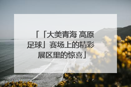 「大美青海 高原足球」赛场上的精彩 展区里的惊喜