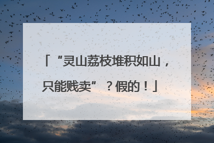 “灵山荔枝堆积如山，只能贱卖”？假的！