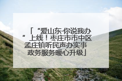 “爱山东·你说我办”上线！枣庄市市中区孟庄镇听民声办实事 政务服务暖心升级