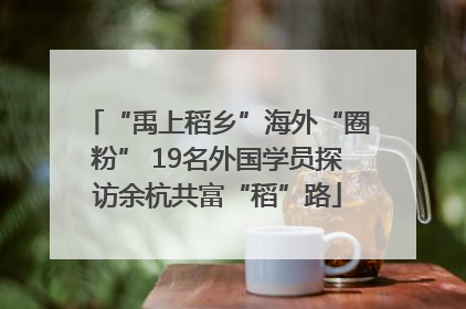 “禹上稻乡”海外“圈粉” 19名外国学员探访余杭共富“稻”路