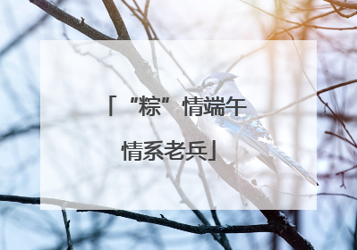 “粽”情端午 情系老兵