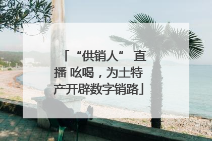 “供销人” 直播 吆喝，为土特产开辟数字销路