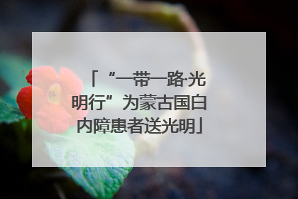 “一带一路·光明行”为蒙古国白内障患者送光明