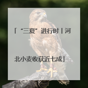 “三夏”进行时丨河北小麦收获近七成