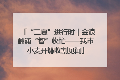 “三夏”进行时｜金浪翻涌“智”收忙——我市小麦开镰收割见闻
