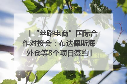 “丝路电商”国际合作对接会：布达佩斯海外仓等8个项目签约