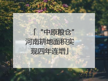“中原粮仓”河南耕地面积实现四年连增