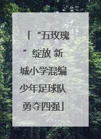 “五玫瑰”绽放 新城小学混编少年足球队勇夺四强