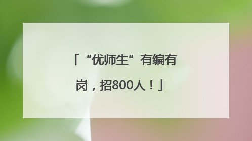 “优师生”有编有岗，招800人！