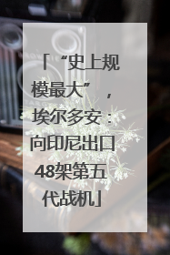 “史上规模最大”，埃尔多安：向印尼出口48架第五代战机