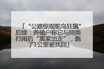 “公路惊现鸵鸟狂飙”后续：养殖户称它与同类打闹后“离家出走”，跑了1公里被找回
