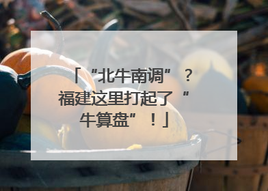 “北牛南调”？福建这里打起了“牛算盘”！