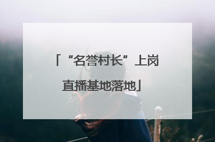 “名誉村长”上岗 直播基地落地