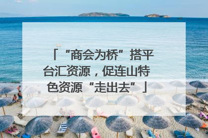 “商会为桥”搭平台汇资源，促连山特色资源“走出去”