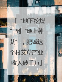 “地下挖煤”到“地上种艾”，肥城这个村艾草产业收入破千万