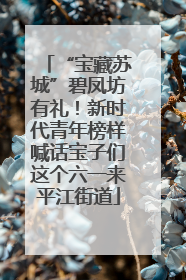 “宝藏苏城”碧凤坊有礼！新时代青年榜样喊话宝子们这个六一来平江街道
