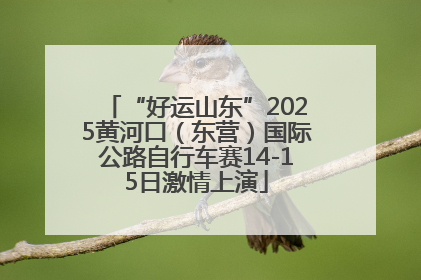 “好运山东”2025黄河口（东营）国际公路自行车赛14-15日激情上演