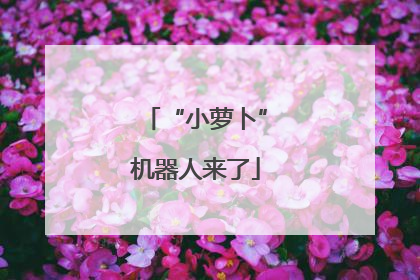 “小萝卜”机器人来了