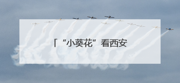 “小葵花”看西安走进丝路欢乐世界