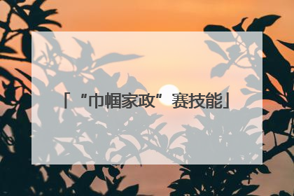“巾帼家政”赛技能
