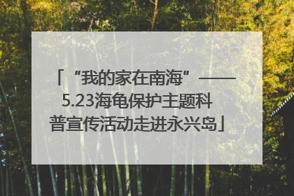 “我的家在南海”——5.23海龟保护主题科普宣传活动走进永兴岛