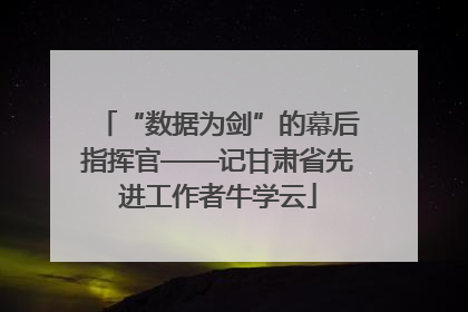 “数据为剑”的幕后指挥官——记甘肃省先进工作者牛学云