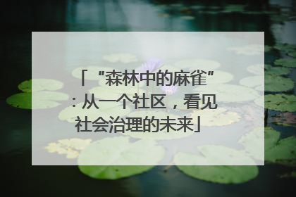 “森林中的麻雀”：从一个社区，看见社会治理的未来