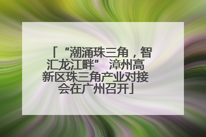 “潮涌珠三角，智汇龙江畔” 漳州高新区珠三角产业对接会在广州召开