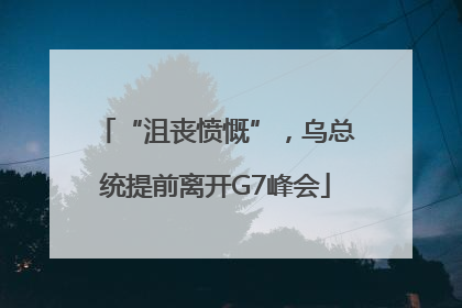 “沮丧愤慨”，乌总统提前离开G7峰会
