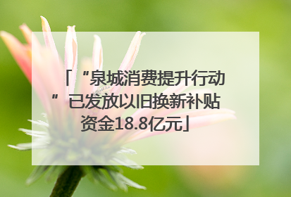 “泉城消费提升行动”已发放以旧换新补贴资金18.8亿元
