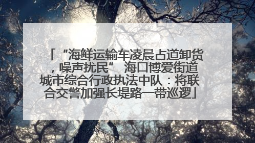 “海鲜运输车凌晨占道卸货，噪声扰民” 海口博爱街道城市综合行政执法中队：将联合交警加强长堤路一带巡逻