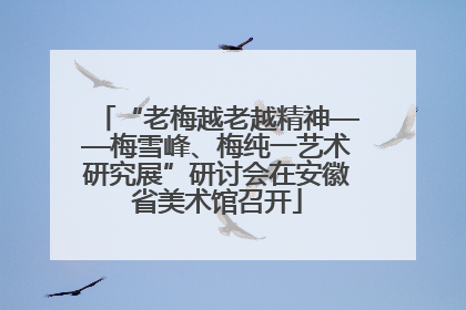 “老梅越老越精神——梅雪峰、梅纯一艺术研究展”研讨会在安徽省美术馆召开