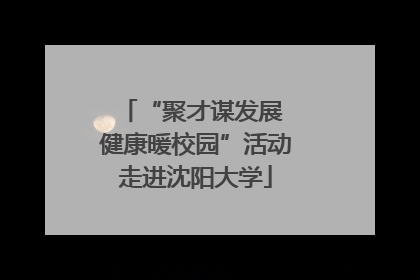 “聚才谋发展 健康暖校园”活动走进沈阳大学