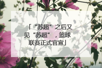 “苏超”之后又见“苏超”，篮球联赛正式官宣