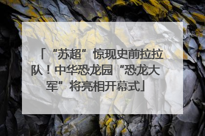 “苏超”惊现史前拉拉队！中华恐龙园“恐龙大军”将亮相开幕式