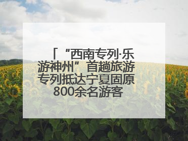 “西南专列·乐游神州”首趟旅游专列抵达宁夏固原 800余名游客开启清凉之旅