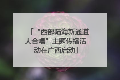 “西部陆海新通道大合唱”主题传播活动在广西启动