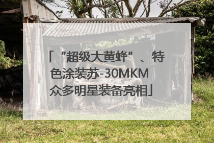 “超级大黄蜂”、特色涂装苏-30MKM 众多明星装备亮相