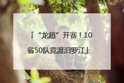 “龙超”开赛！10省50队竞渡汨罗江