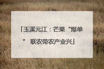 玉溪元江：芒果“爆单” 联农带农产业兴