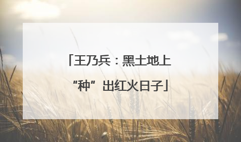 王乃兵：黑土地上“种”出红火日子