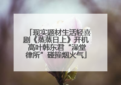 现实题材生活轻喜剧《蒸蒸日上》开机 高叶韩东君“澡堂律所”碰撞烟火气