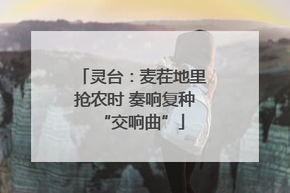 灵台：麦茬地里抢农时 奏响复种“交响曲”