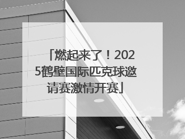 燃起来了！2025鹤壁国际匹克球邀请赛激情开赛
