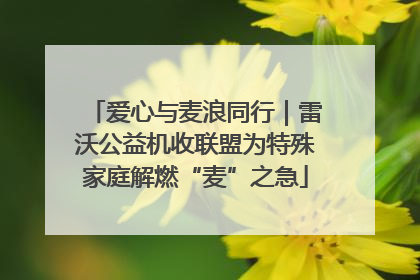 爱心与麦浪同行｜雷沃公益机收联盟为特殊家庭解燃“麦”之急